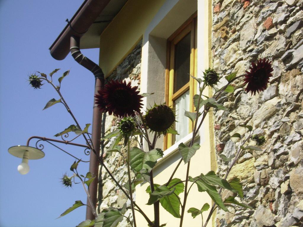 Il Girasole Bed and Breakfast Fosdinovo Buitenkant foto